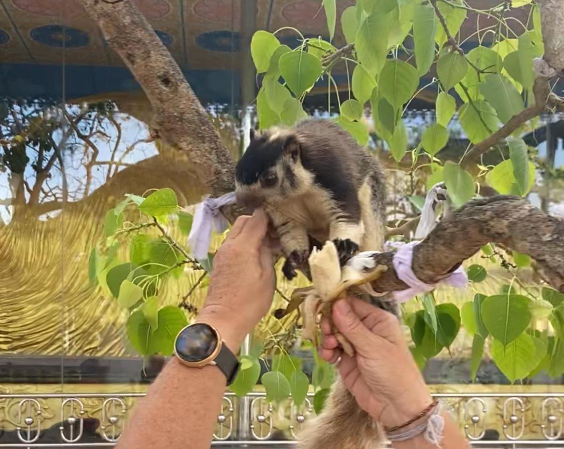 לינה וארוחת בוקר קוסגודה Sri Palms מראה חיצוני תמונה